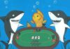 Top Poker Strategy to beat the poker fish