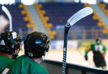 NHL To Reap $200M Per Year From Sports Betting, Casino Industry Says