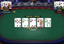 Gregor Muller Wins WSOP Online $500 Limit Hold’em Event
