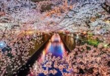 New Japanese Prime Minister to Stick to Shinzo Abe’s Casino Expansion and Integrated Casino Resorts Policy