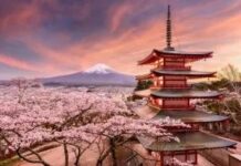 Japanese Cities and Prefectures Take a Chance on Integrated Casino Resorts Bids after the Government Sets Basic Policy