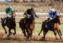 No Casino Operator Will Be Hired by Fonner Park Racing Facility until Nevada Gaming Commission Is Established