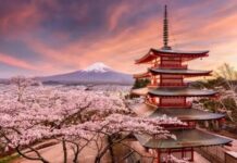 Japanese Cities and Prefectures Perfecting Integrated Casino Resorts Bids before Central Government’s Consideration